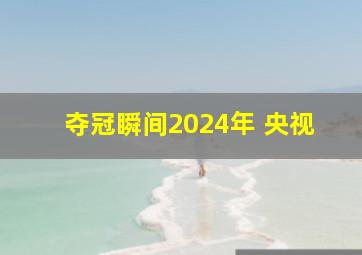 夺冠瞬间2024年 央视